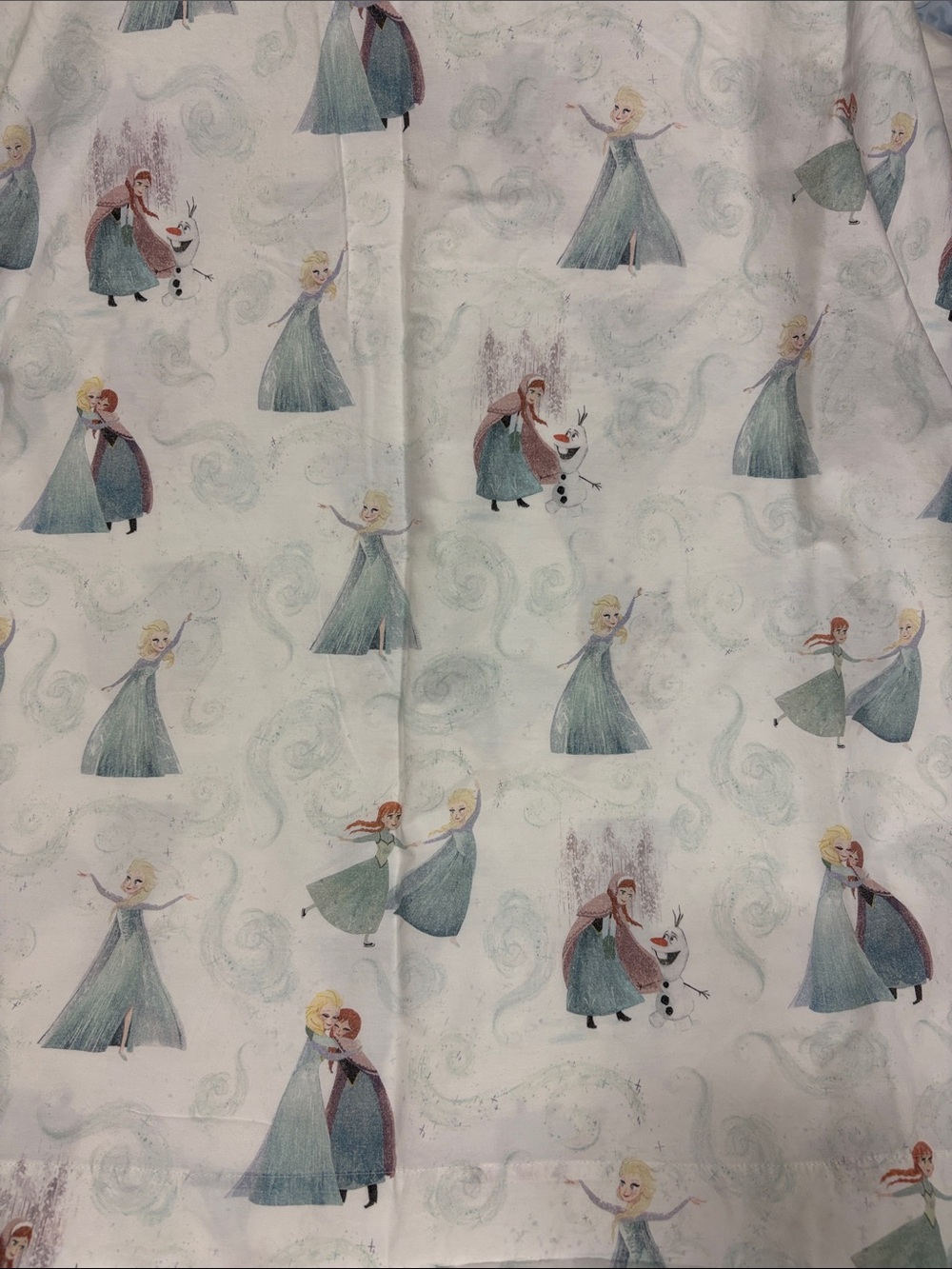 Pottery Barn Kids Frozen Disney Elsa Anna full flat organic sheet